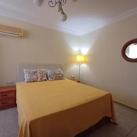 Enjoy With Apollo In Apartament
